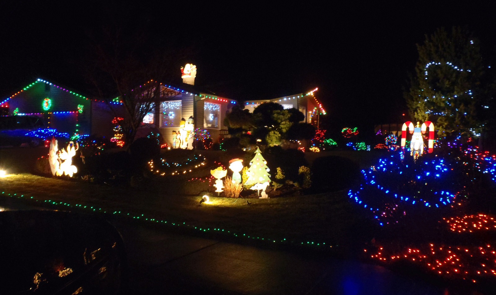 My View of the Honeypot Lights