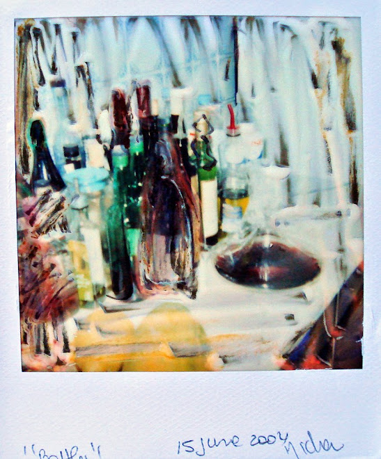 polaroid manipulation