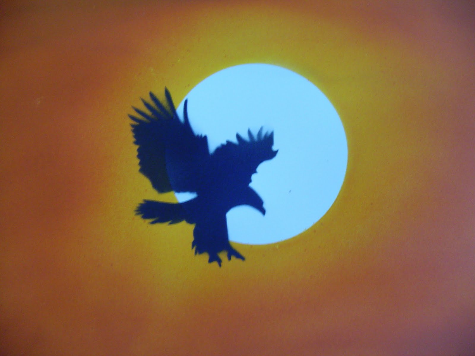 Bill's Place: Sky King