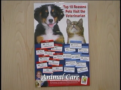new frontier animal hospital new frontier animal hospital