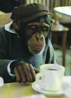monkeycoffee.jpg