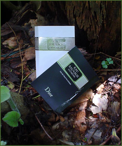 eau sauvage parfum homme