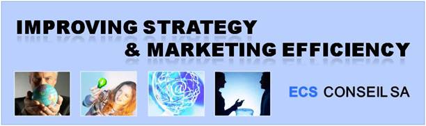 Improving Strategy and Marketing Efficiency