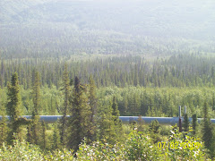 The Trans-Alaska pipeline to Valdez