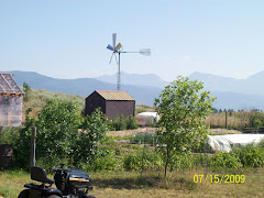 Garden and one windmill