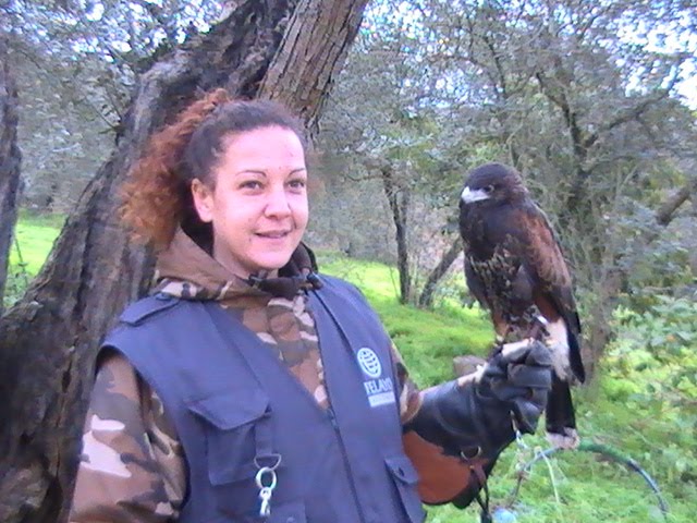 Mamme y su macho de harris Kratos