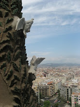 Sagrada bird view