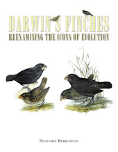 Darwin's Finches: Reexamining the Icons of Evolution