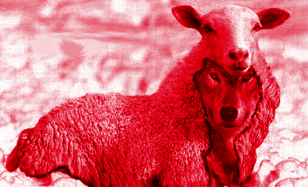[wolfinsheepsclothing.png]