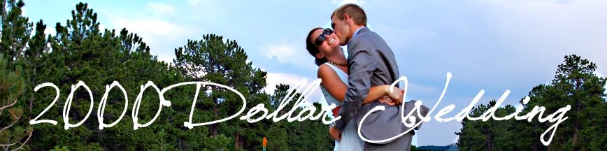 2000 Dollar Budget Wedding From Conception To Reception 2000 Dollar Budget Wedding