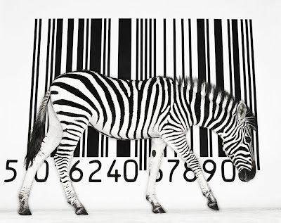 Código e zebra