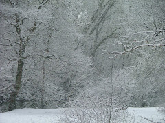 Snowy Snuff Mills 2009