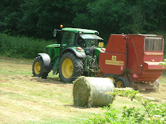 Hay making in Quarry Field