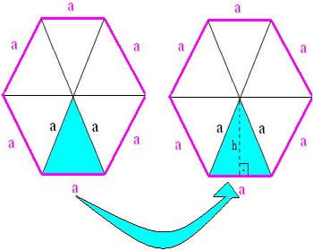 [hexagono3.jpg]