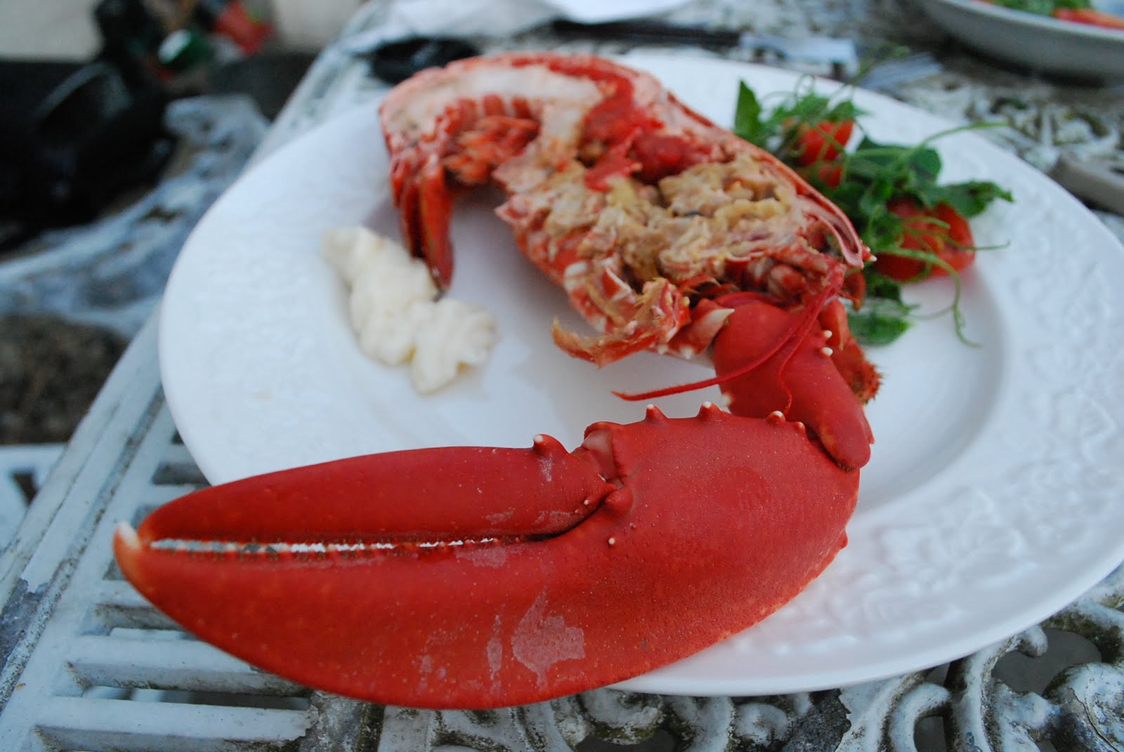 The Hungry Rambler How to cook a lobster humanely