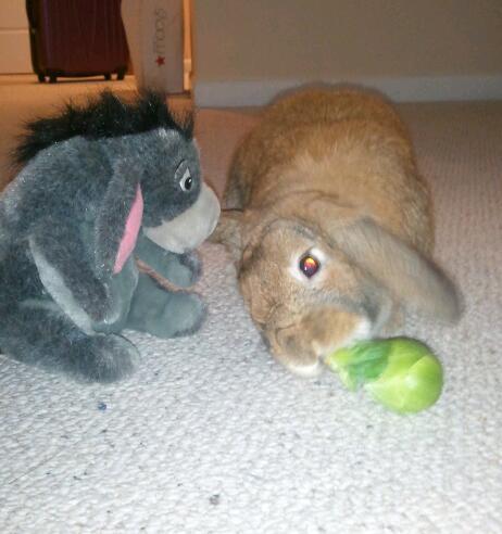 https://2.bp.blogspot.com/_HpsW9qLmn10/TSCr1CVMs_I/AAAAAAAAAHM/LMV4gsSXuew/s1600/Walt+and+Eeyore.jpg