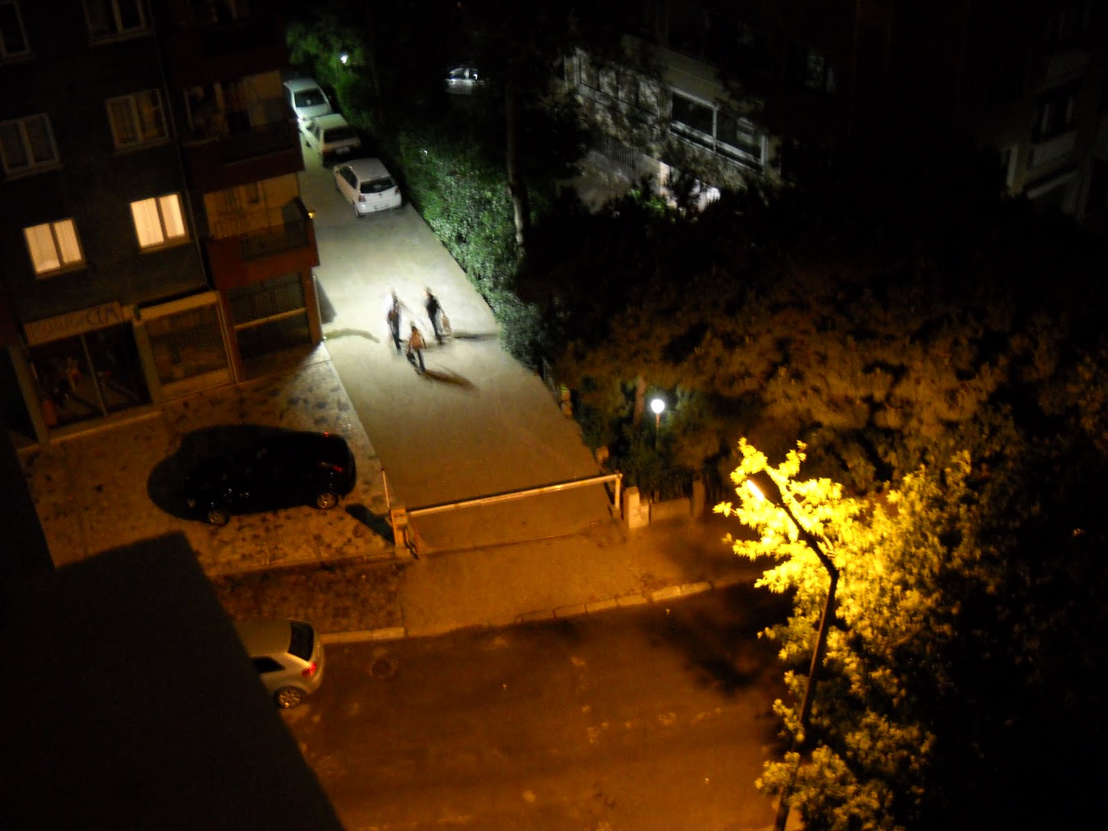 Namı diğer ANNECİK BAŞIBOŞ FOTOĞRAFLAR VE LAF�I GÜZAF