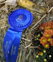What is a Contests, Blue Ribbon Winners