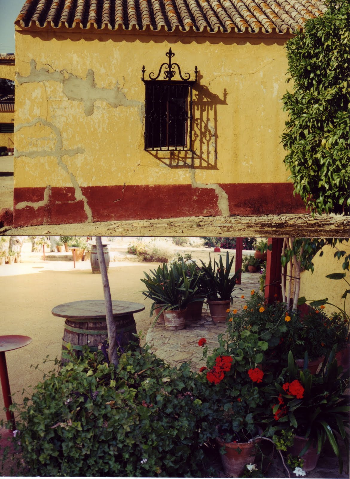 [sevillecortijo]