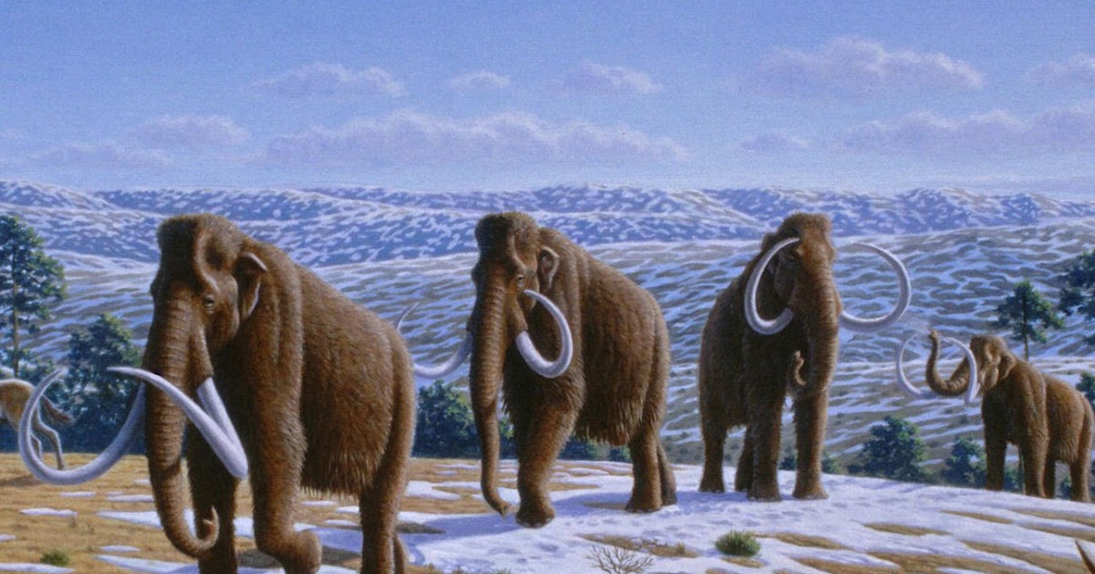 Era Cenozóica Dinos Tephix Era Cenozóica Dinos Tephix