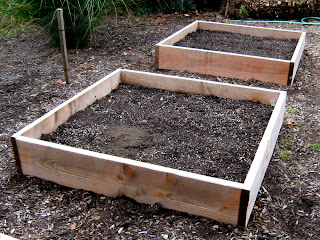 raised garden beds