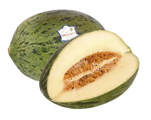 Piel-de-Sapo.jpg