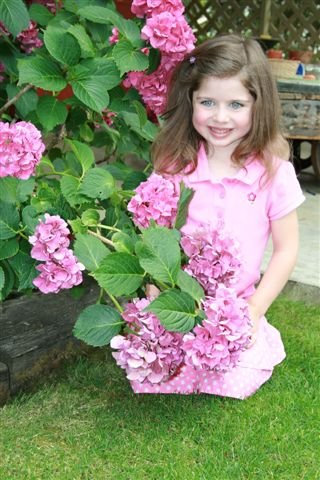 [IMG_3086.JPG]