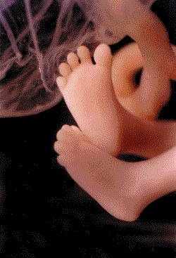 [fd_10weeks.gif]