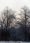 Ice Storm