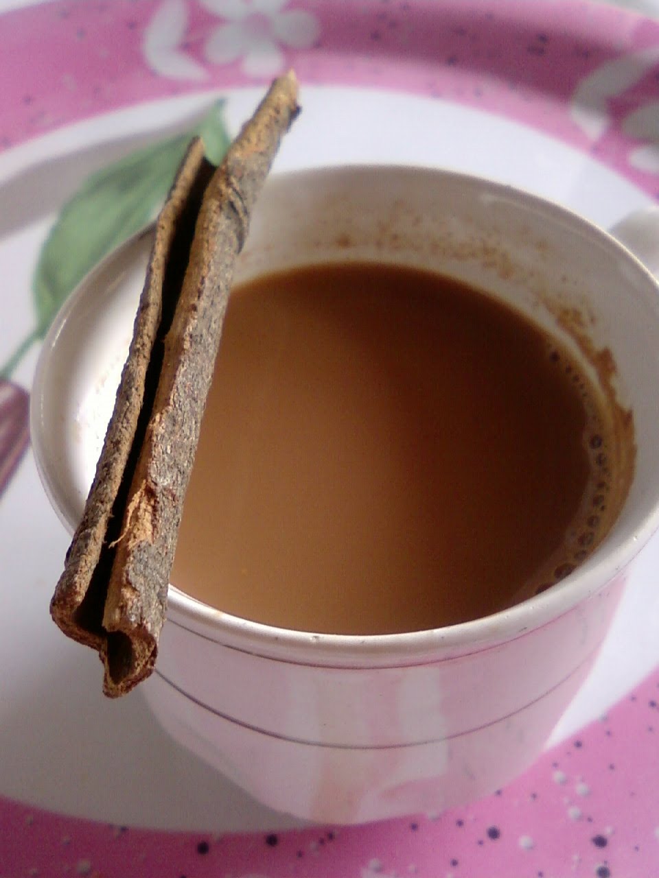 Blend with Spices Indian Cinnamon Tea