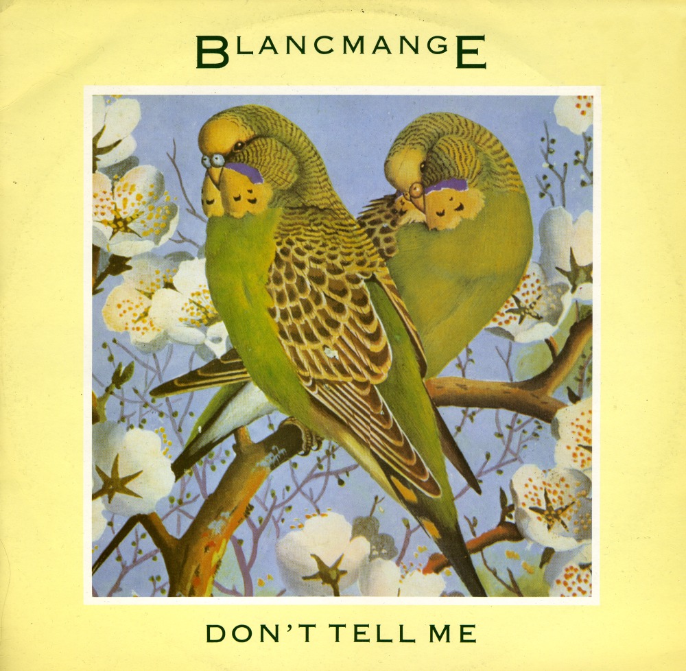 [blancmange12.jpg]