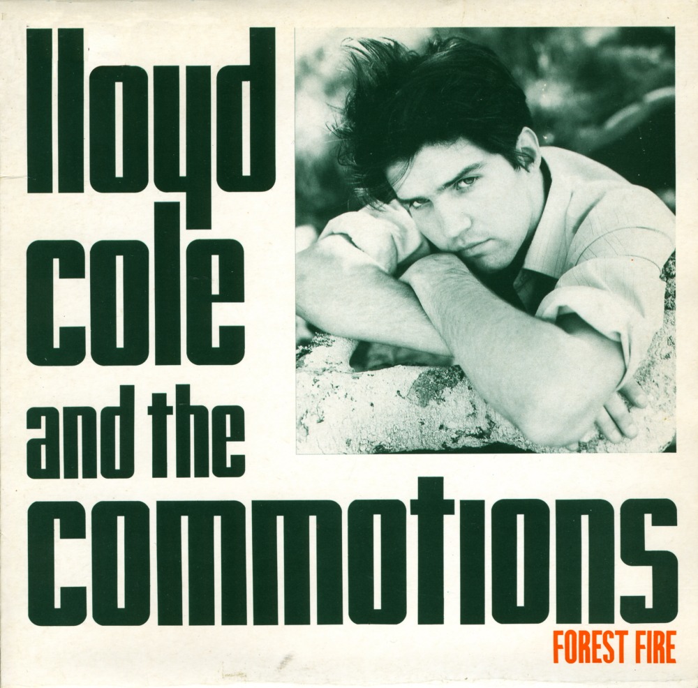 [lloydcolecommotions4.jpg]