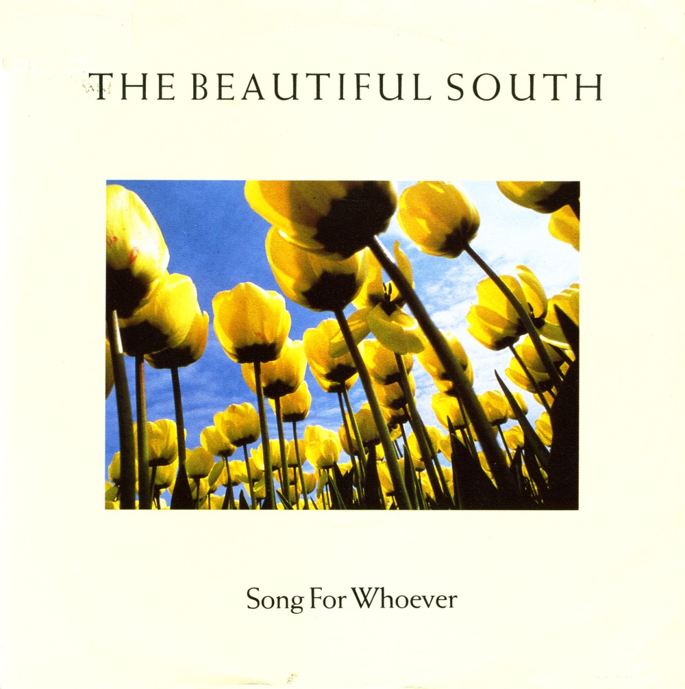 [beautifulsouth.jpg]