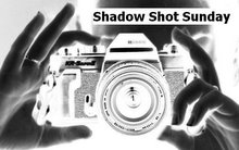 [Shadow_Shot_Sunday_logo1.JPG]