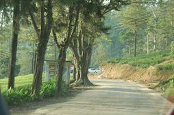 road to hali-ela