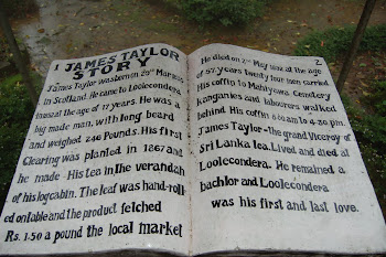 story of james tailor-on a tablet