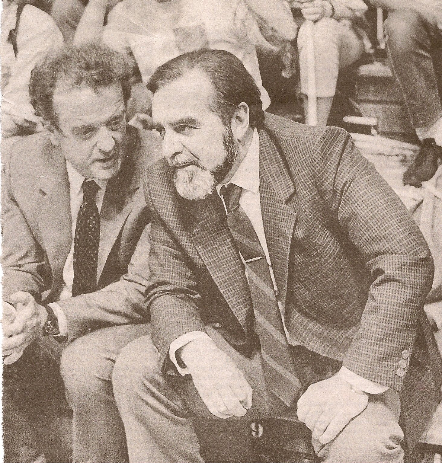 [alegre+e+sampaio.jpg]