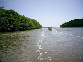 Delta do Rio Parnaiba Piauí