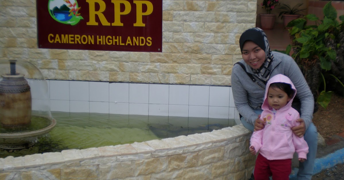 Alamat Rumah Peranginan Persekutuan Cameron Highland  See 1,893 traveler reviews, 2,048 candid