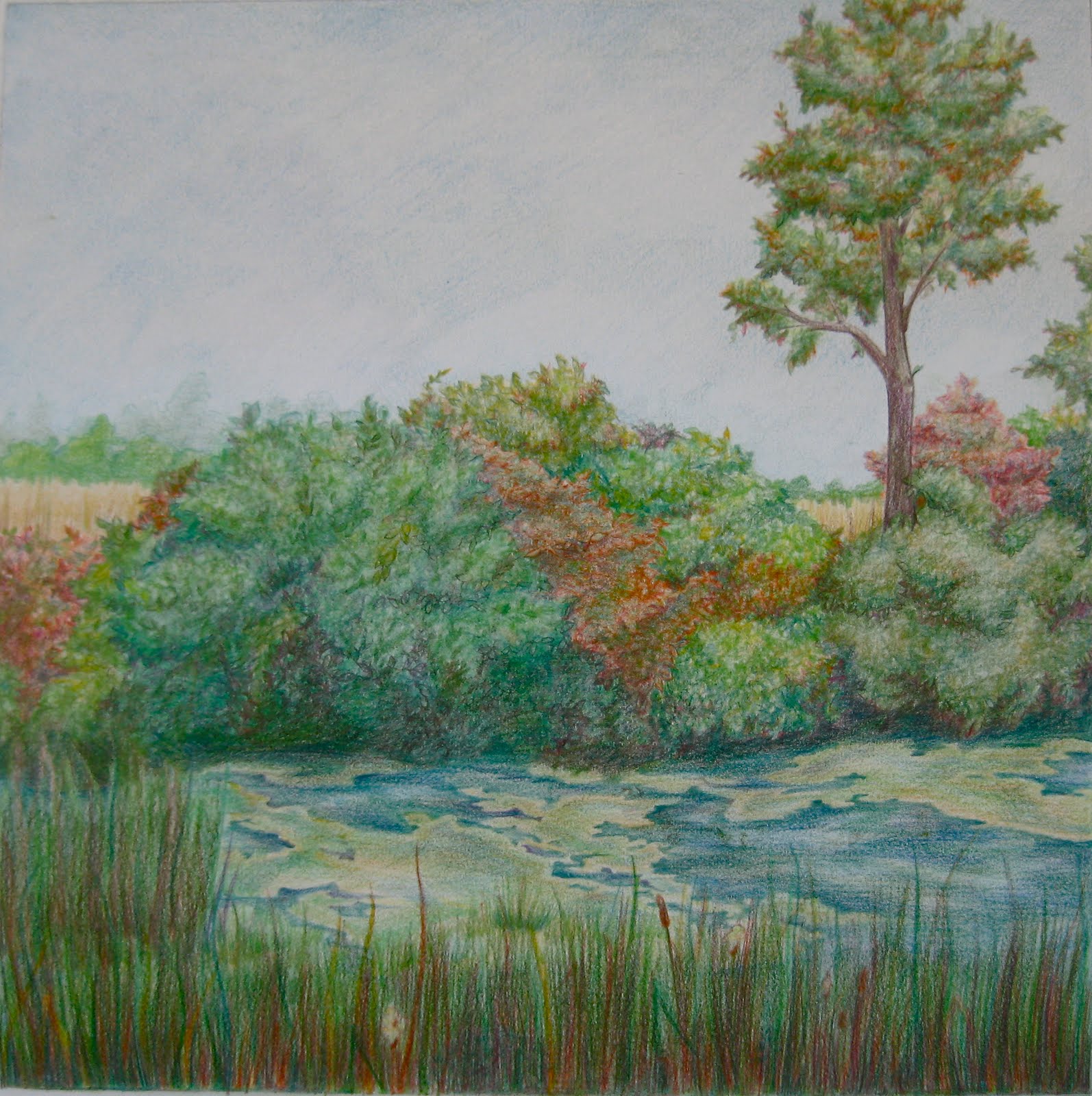Musings of a Chocolate Lover Landscape—Colored Pencil