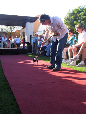 montgomery animal shelter nj