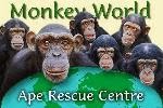 Monkey World Ape Rescue Centre (UK)