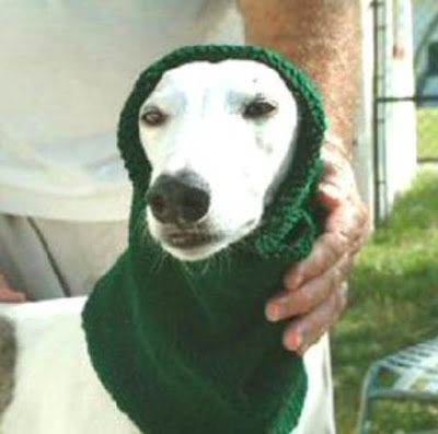 Ravelry: Dog Snood for All Size Dogs pattern by Sara Sach