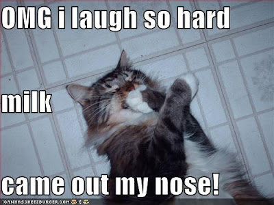 [Image: funny-pictures-cat-laughs-hard.jpg]