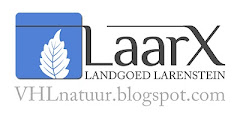 laarx banner