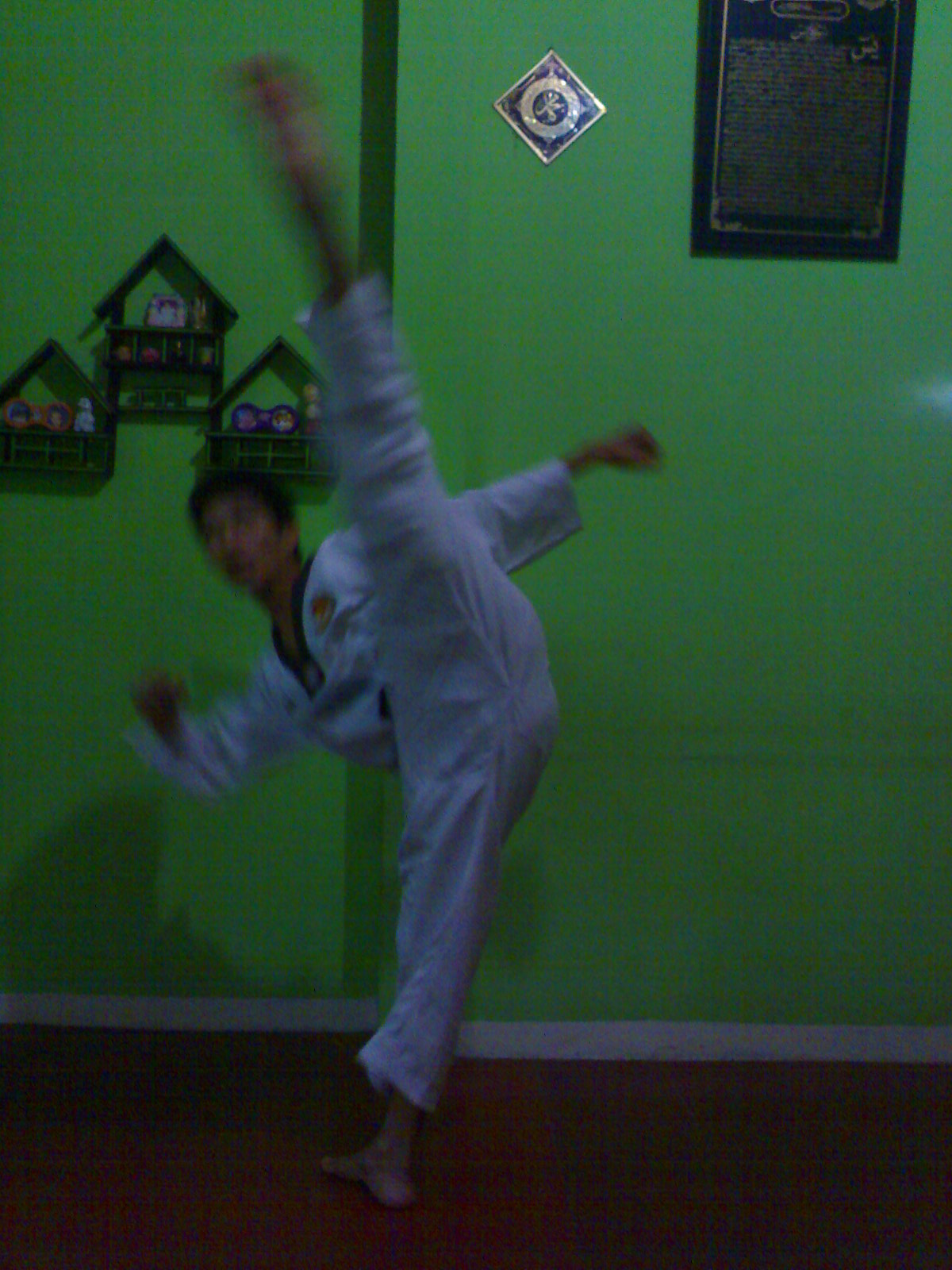 Taekwondo larson