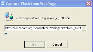 download flash player online download flash player online