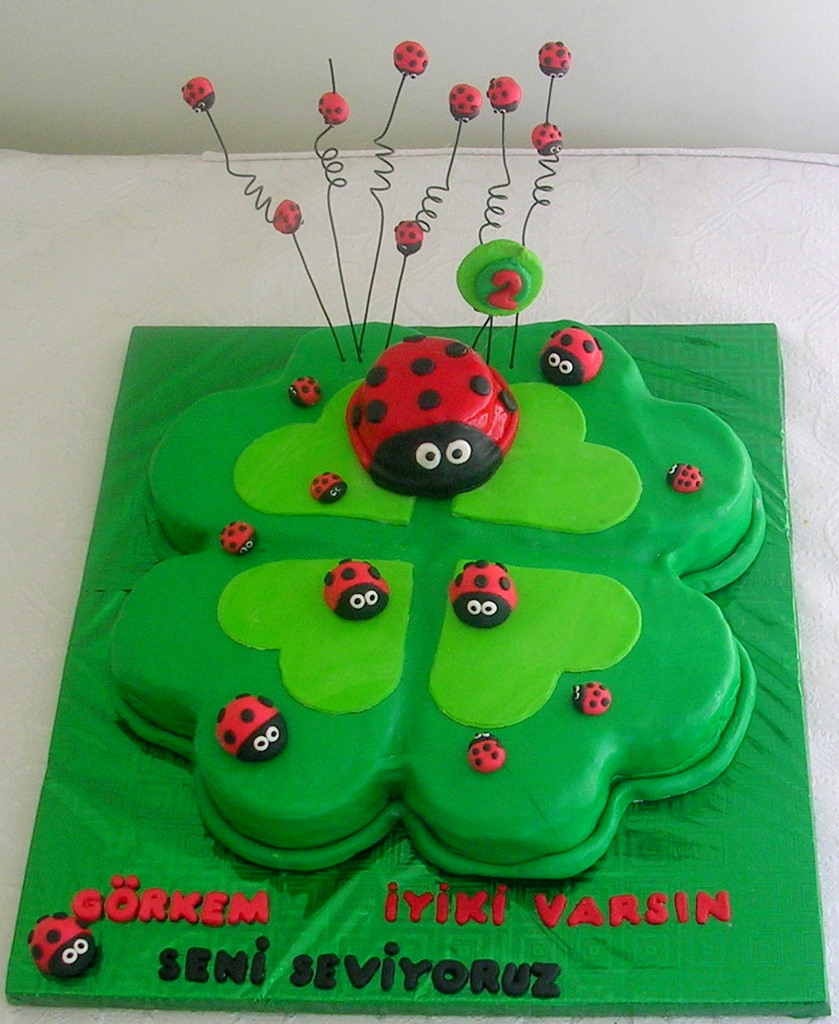 KURABİYE ADAM PASTA TASARIM ATÖLYESİ UĞUR BÖCEKLİ YONCA PASTA