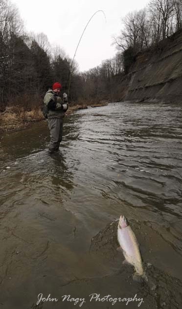 noodle rods for sale