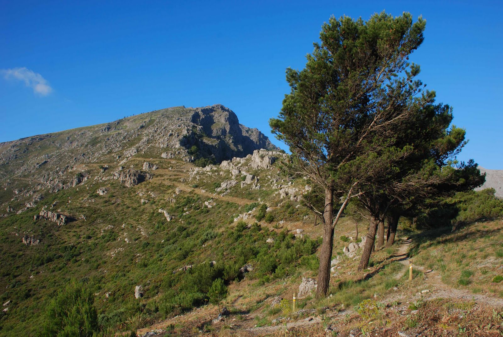 Senderismo por la Montaña Penibética Ascenso a la Sierra de la